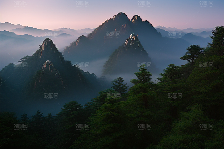 黄山上的美丽松树