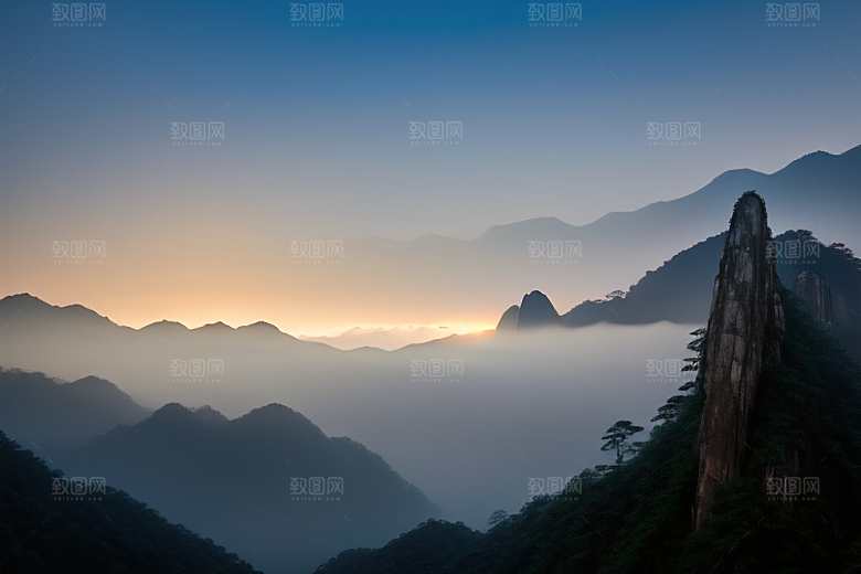 黄山上的美丽松树