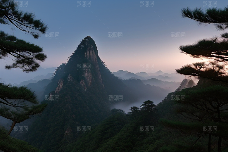 黄山上的美丽松树