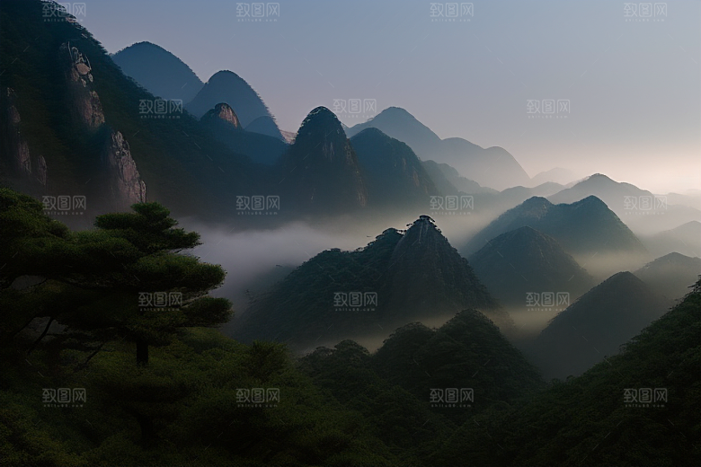 黄山上的美丽松树
