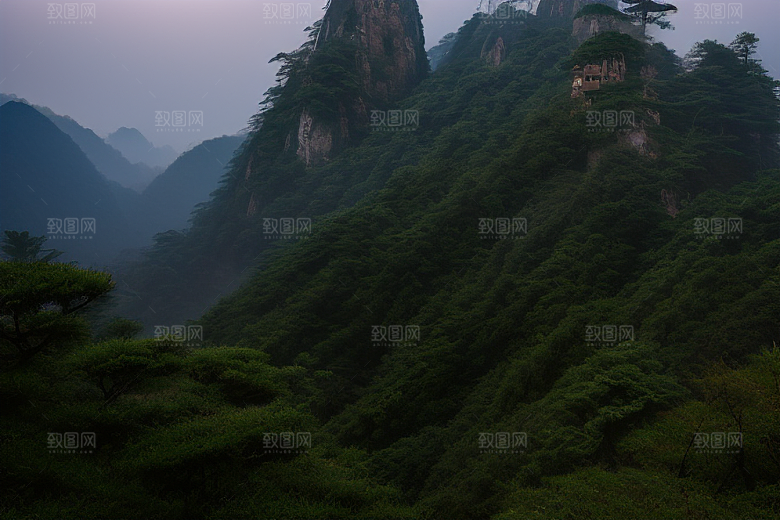 黄山上的美丽松树