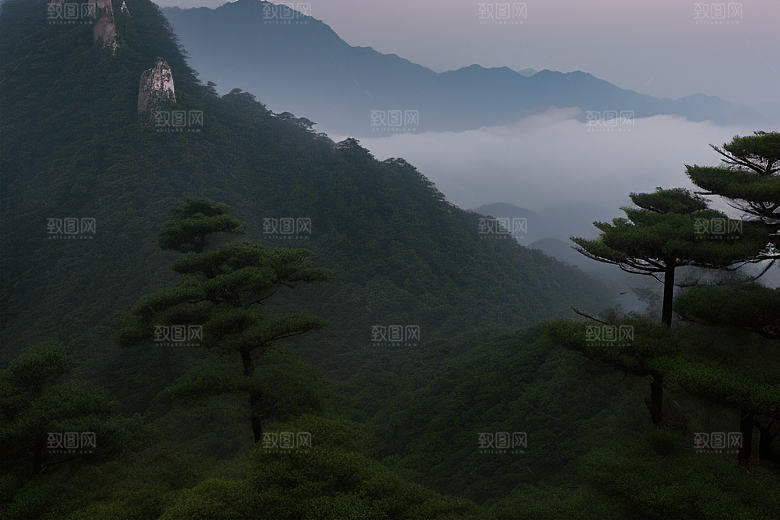 黄山迎客松的传奇故事