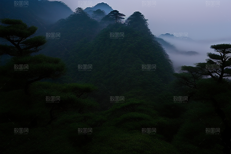 黄山迎客松的传奇故事