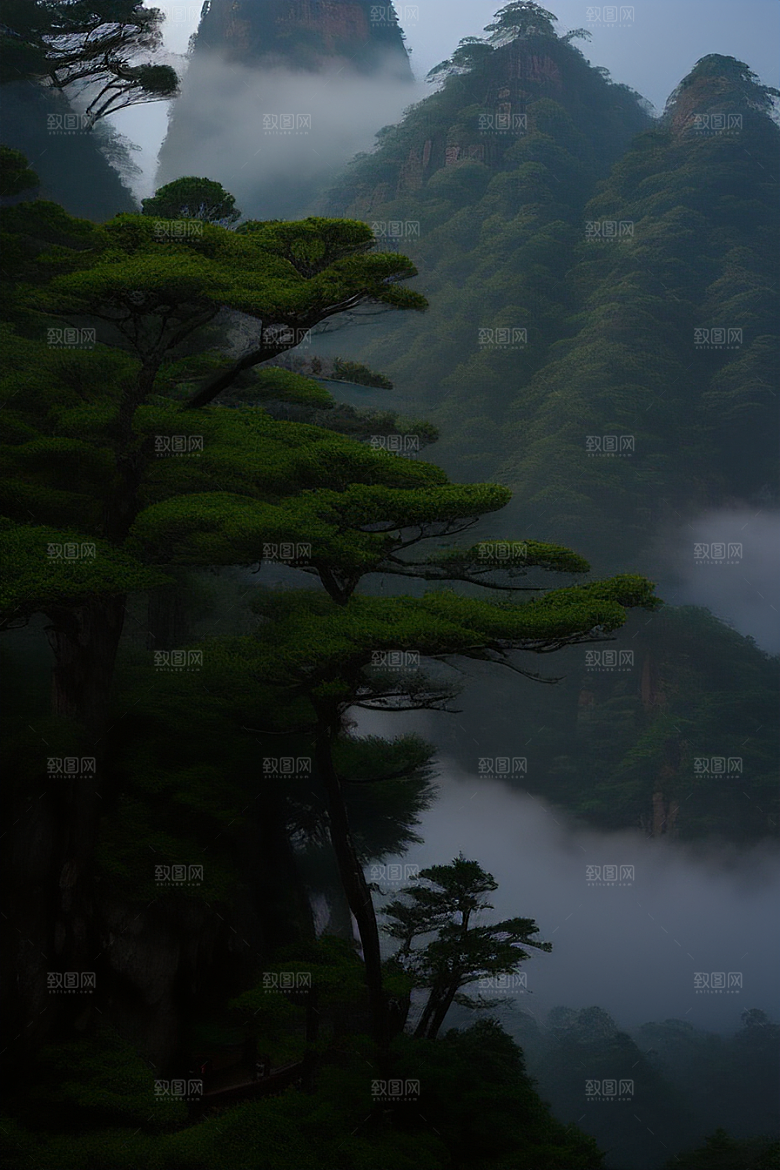 黄山迎客松的传奇故事
