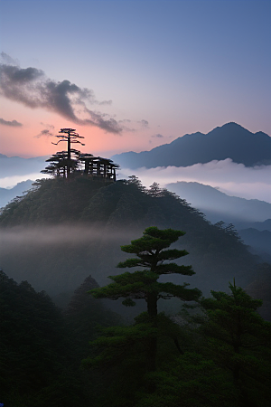 黄山上的迎客松美景