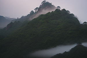 黄山迎客松的美丽传说