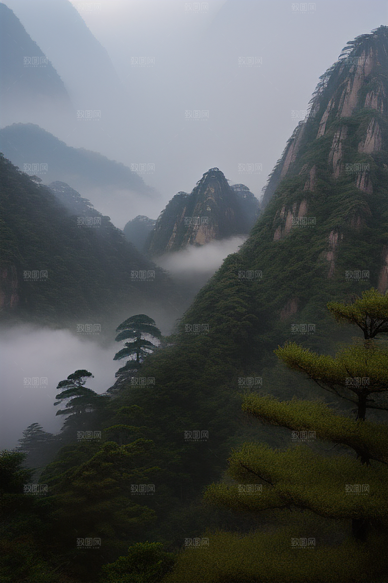 迎客松的美丽时光