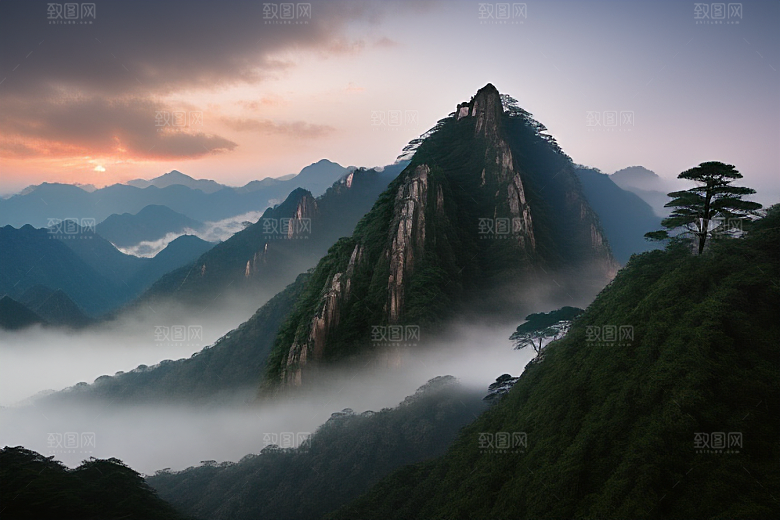 迎客松的美丽时光
