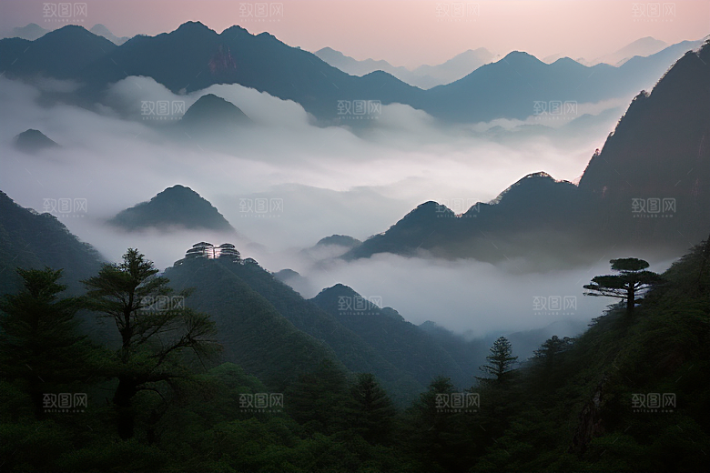 迎客松的美丽时光