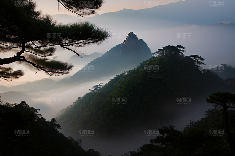 迎客松的美丽时光