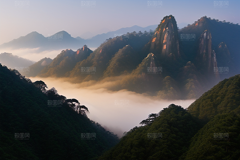 迎客松的美丽时光