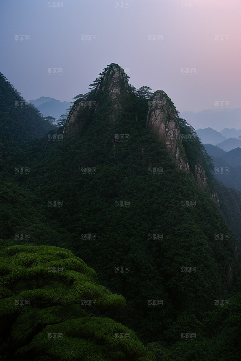 迎客松的美丽时光