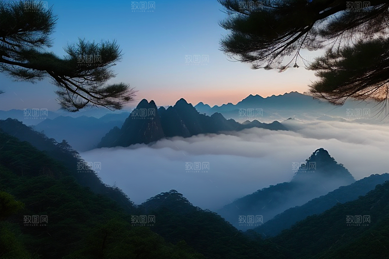 迎客松的美丽时光