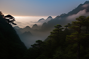 迎客松的诗意瞬间