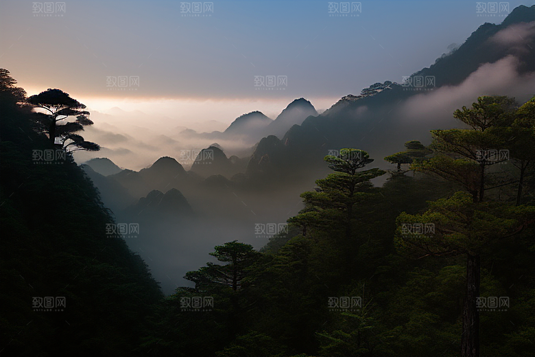迎客松的诗意瞬间