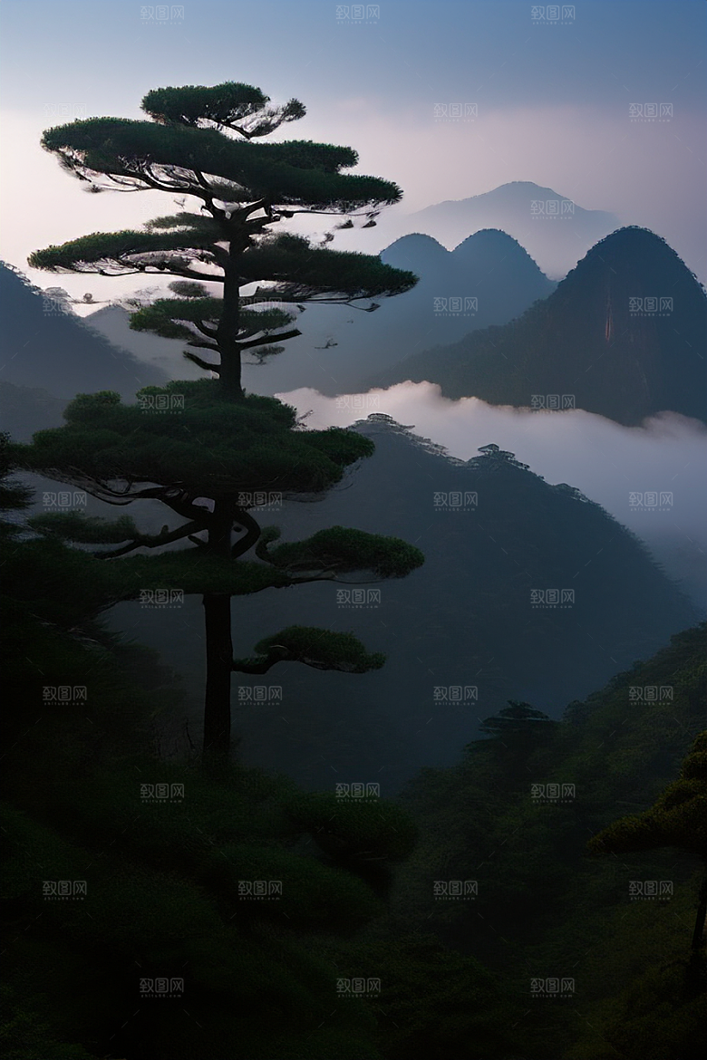 迎客松的诗意瞬间