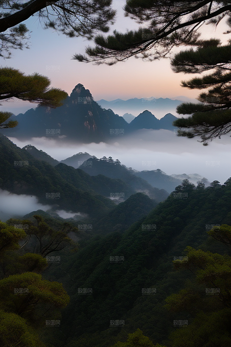 迎客松的诗意瞬间