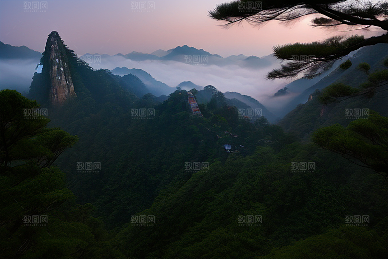 迎客松下的浪漫之旅