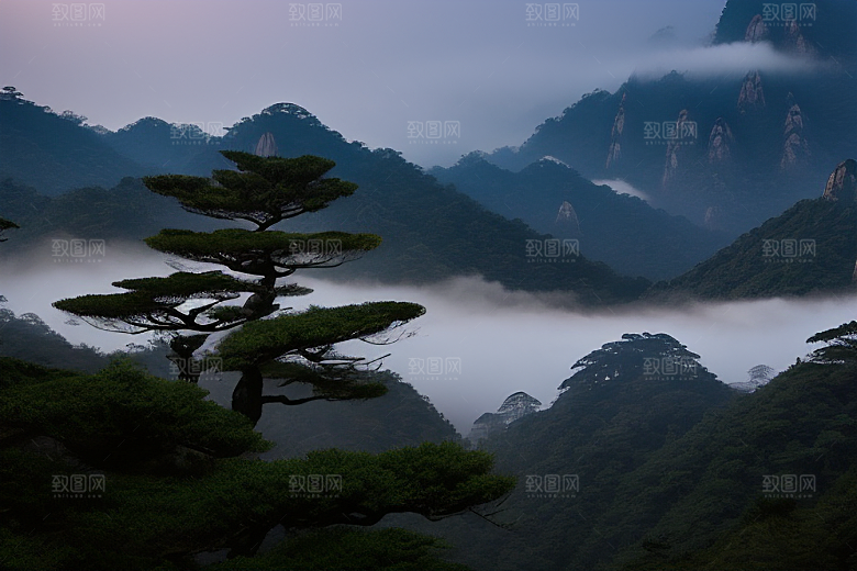 迎客松下的浪漫之旅