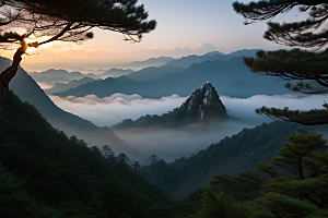 迎客松下的浪漫之旅