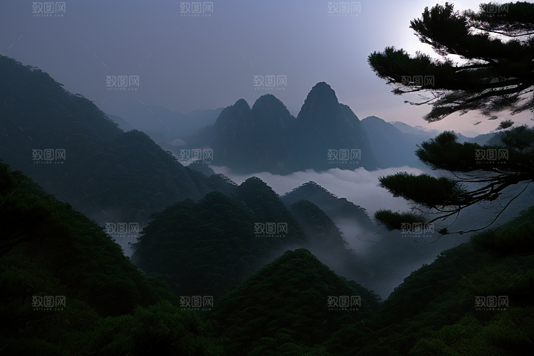 迎客松的美丽景色