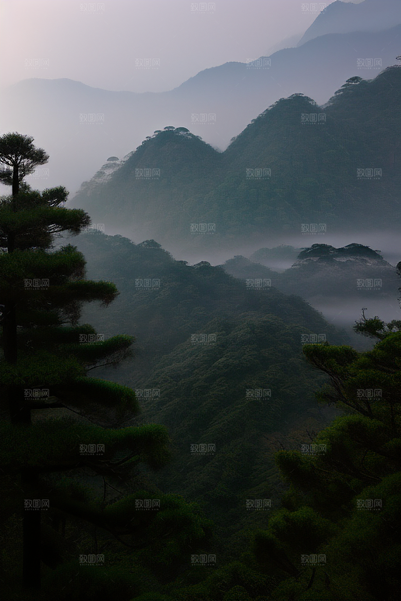 迎客松的美丽景色