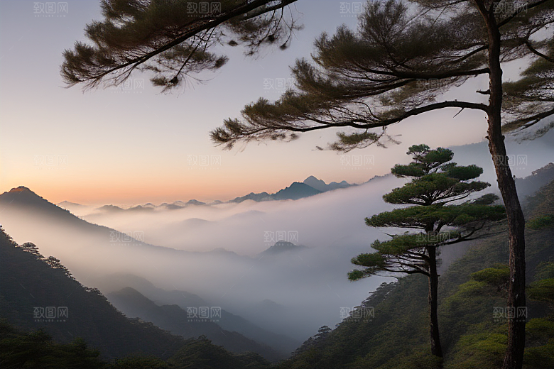 迎客松的美丽景色