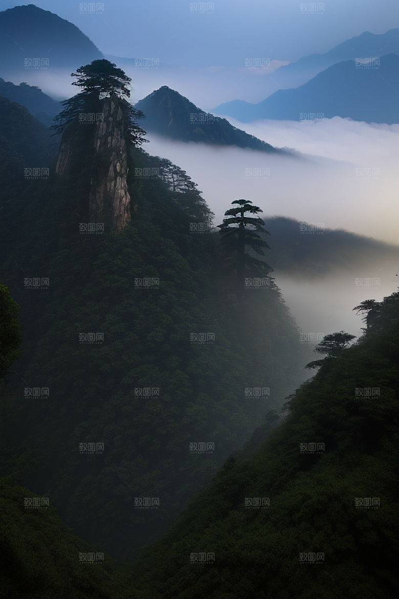 迎客松的美丽景色