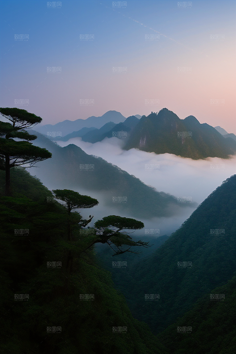 迎客松的美丽景色