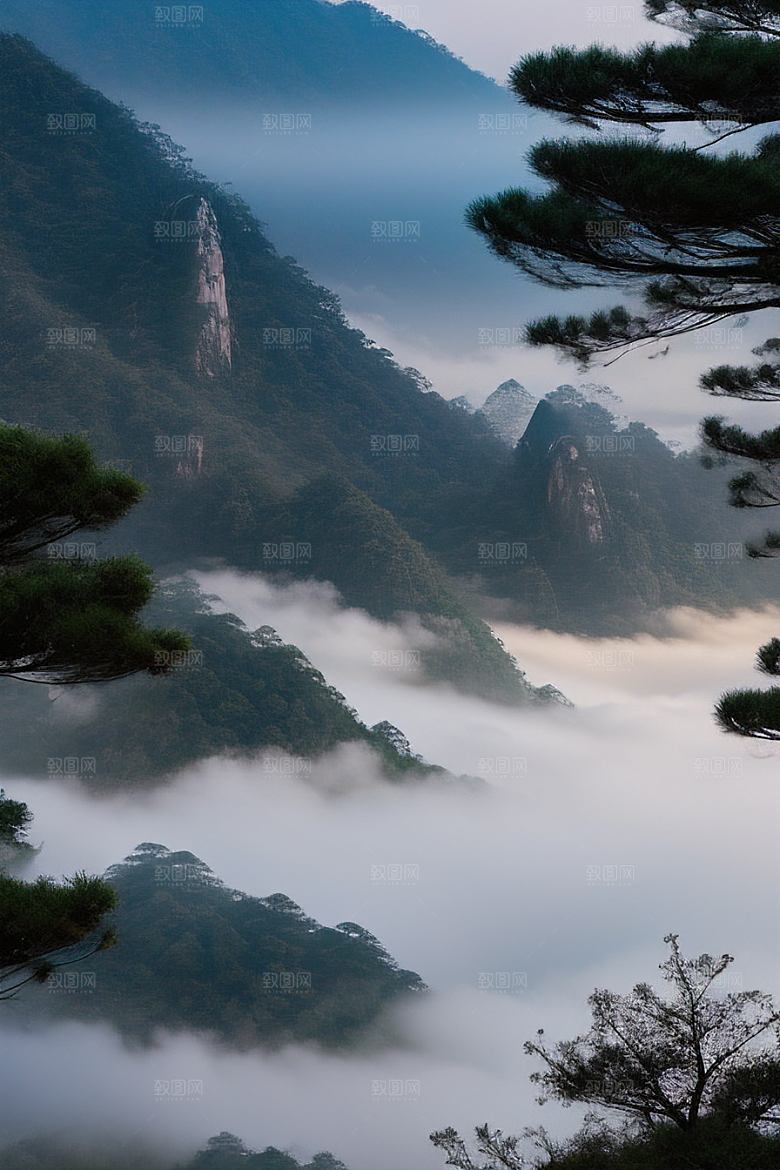 迎客松的美丽景色