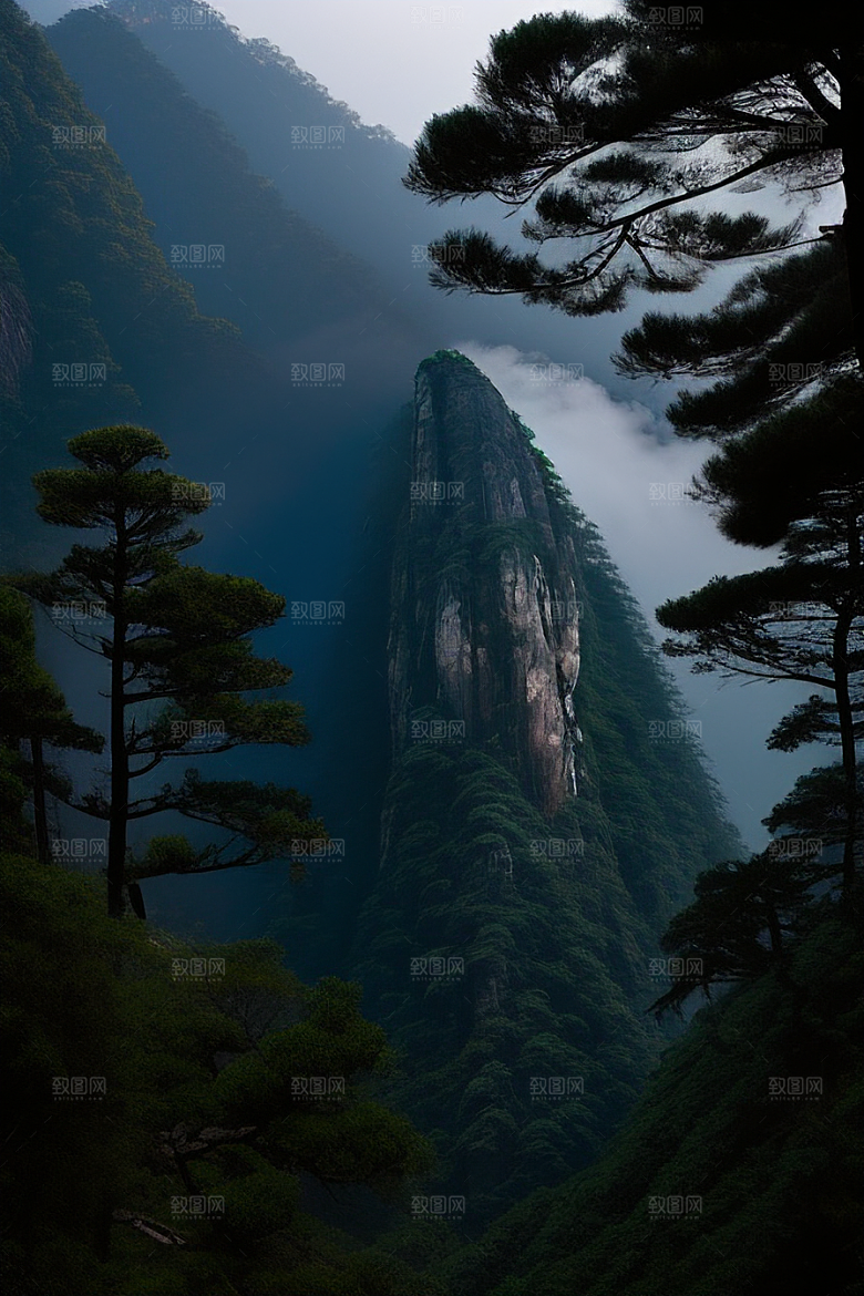 迎客松下的诗意时光