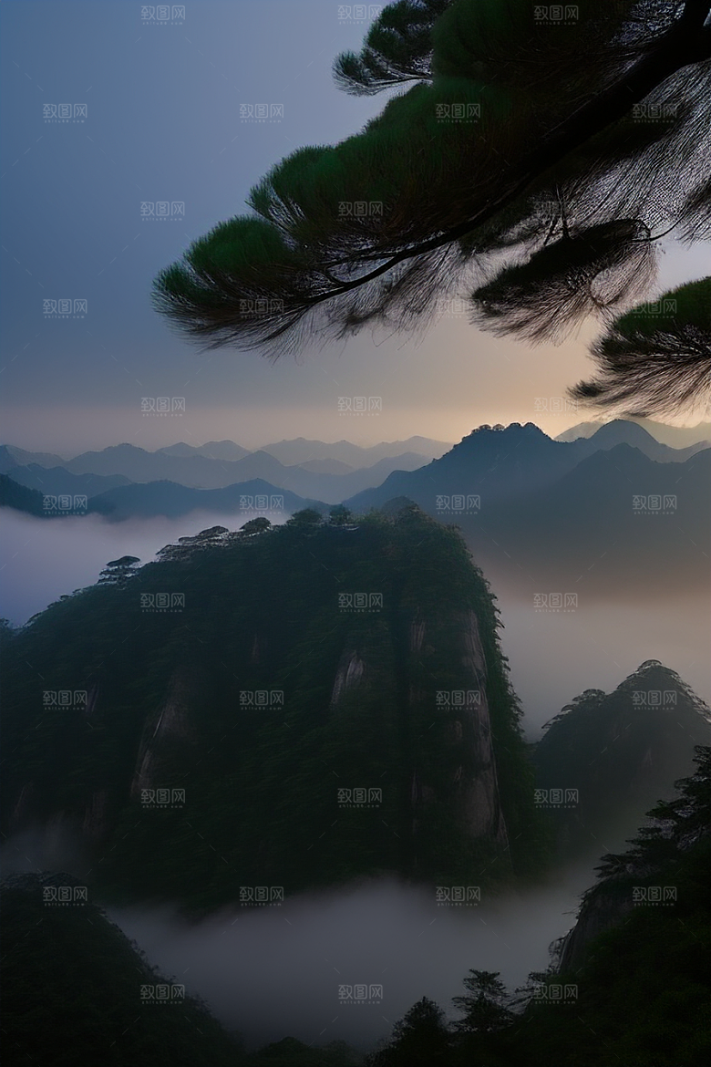 迎客松下的诗意时光