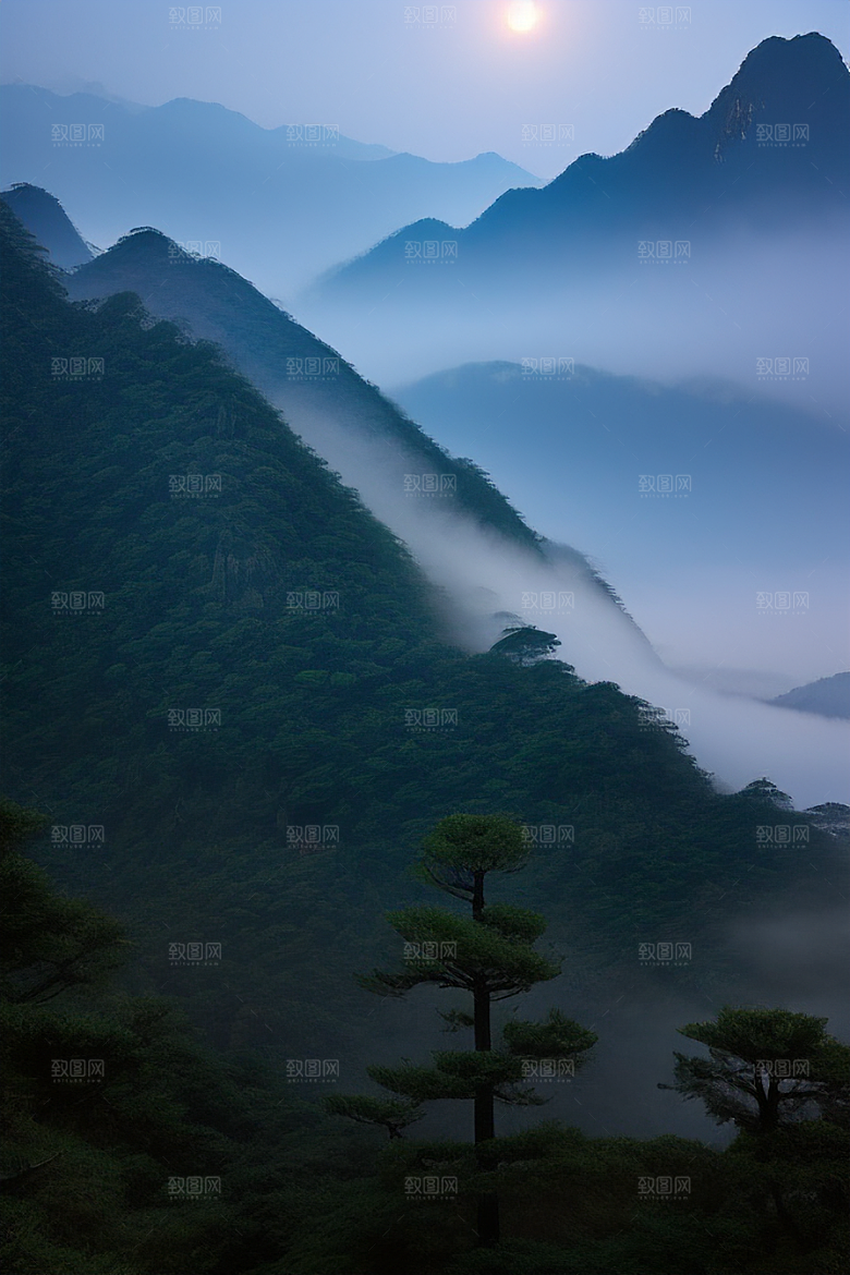 迎客松下的诗意时光