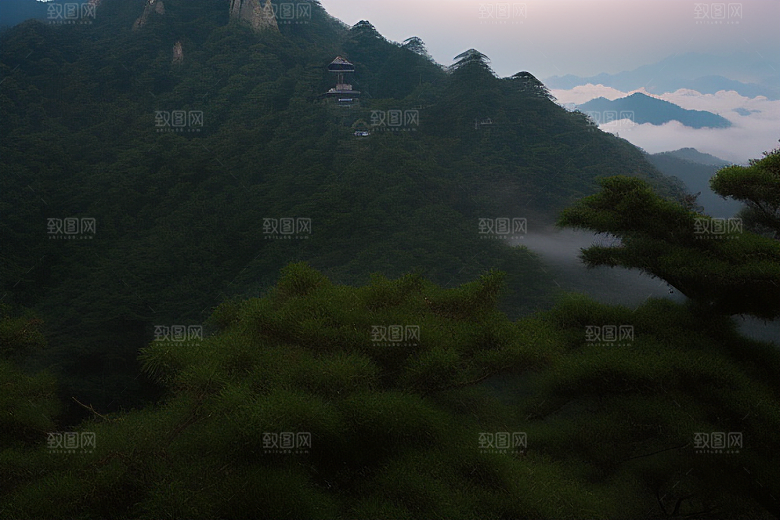 迎客松下的诗意时光