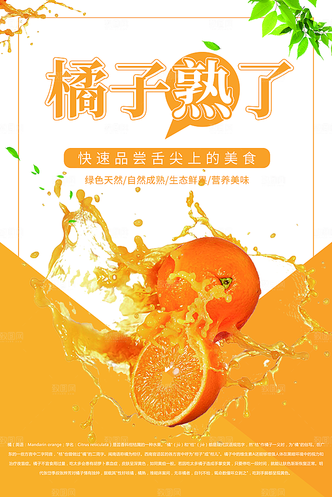 绿色天然水果橘子