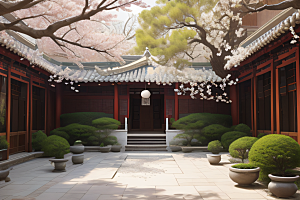 中式庭院中盛开的中华木绣球花