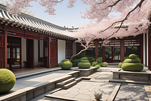 中式庭院中的中华木绣球花园