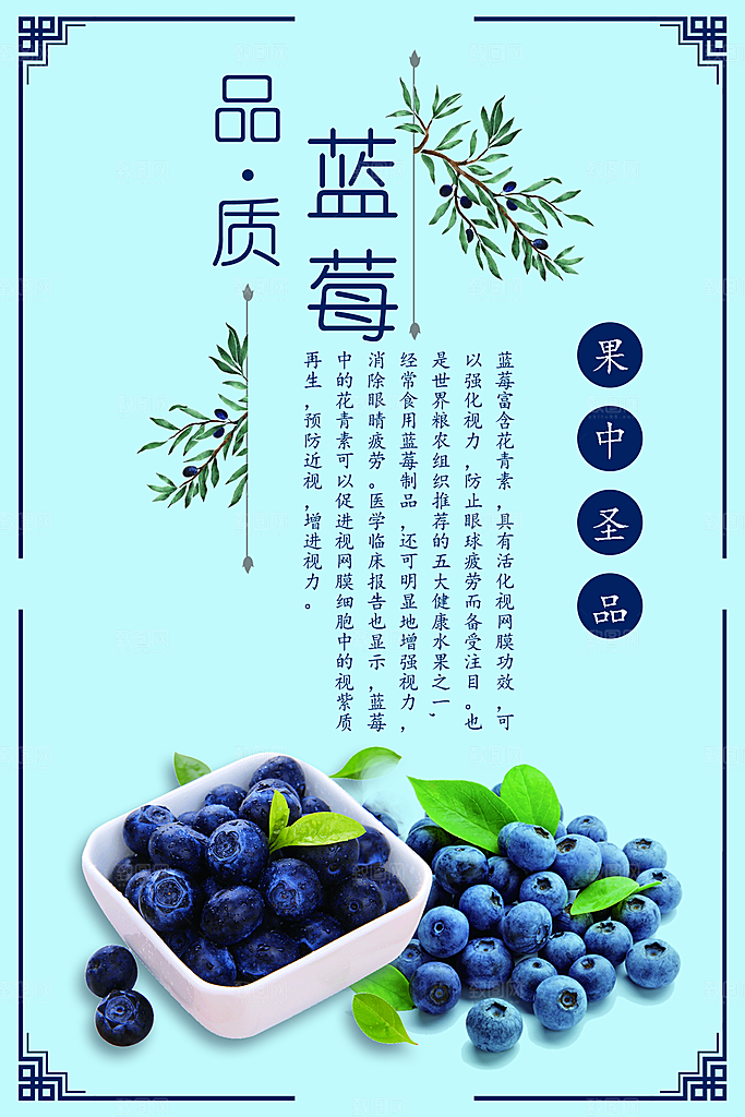 美味水果蓝莓海报