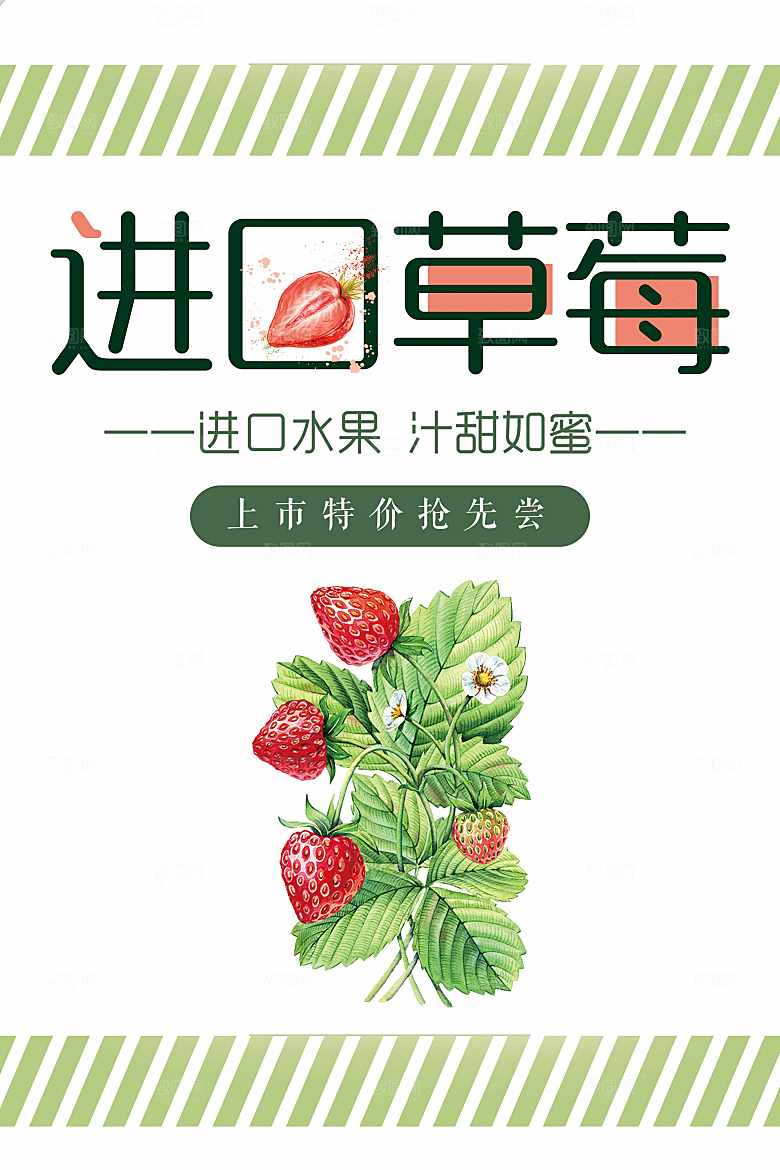 手绘进口草莓插画