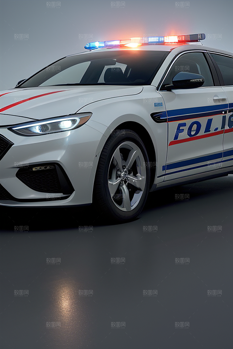 浅灰色警车的真实写照