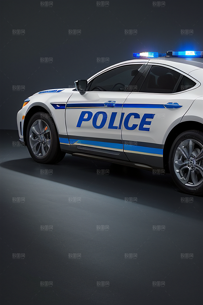 浅灰色警车的真实写照