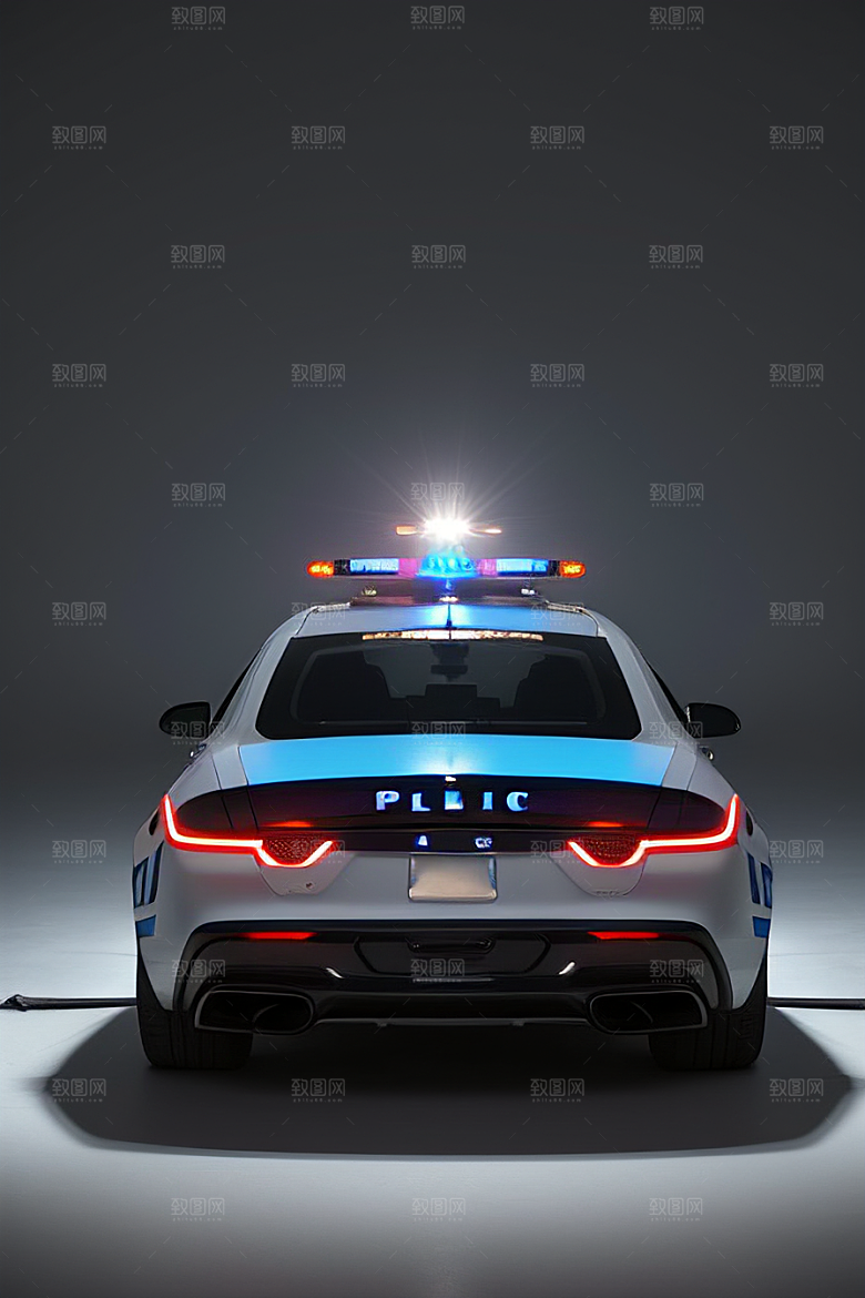 浅灰色警车的真实写照