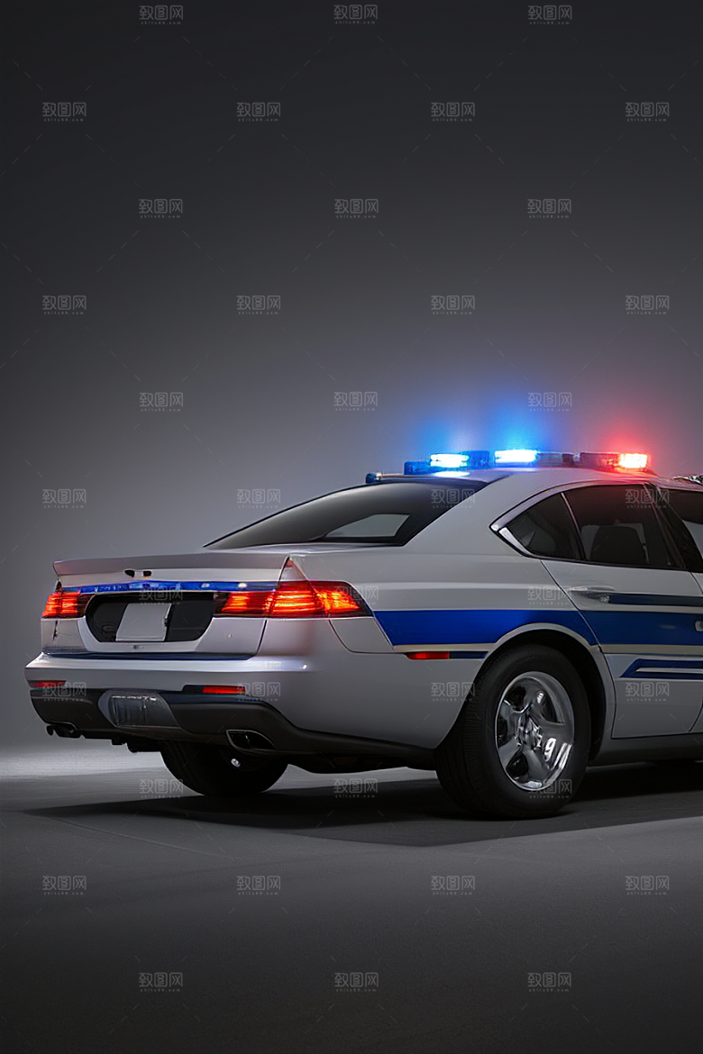 浅灰色警车的真实写照