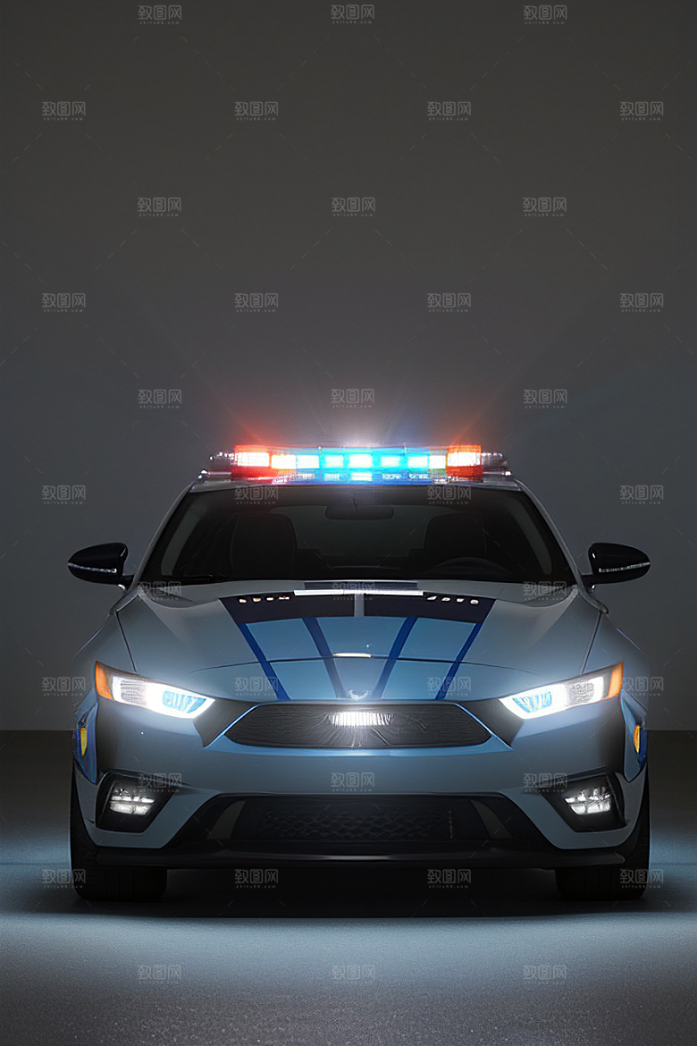 浅灰色警车的真实写照