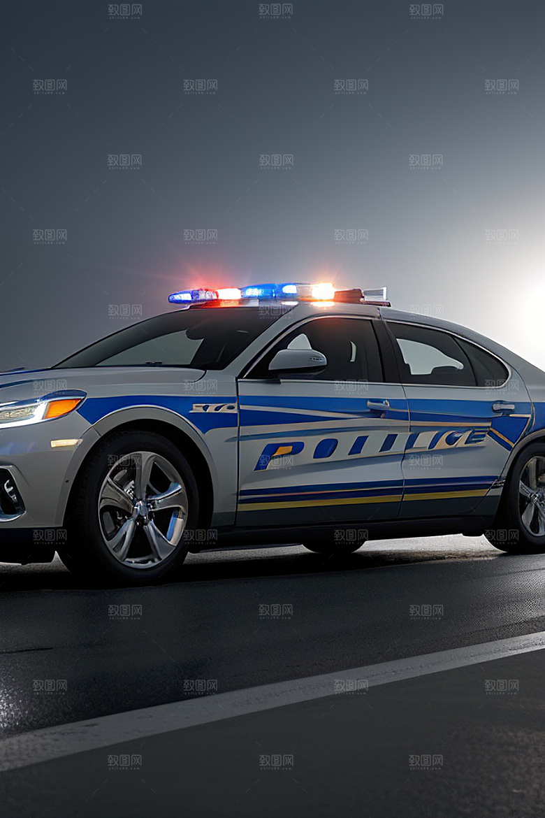 浅灰色警车的真实写照