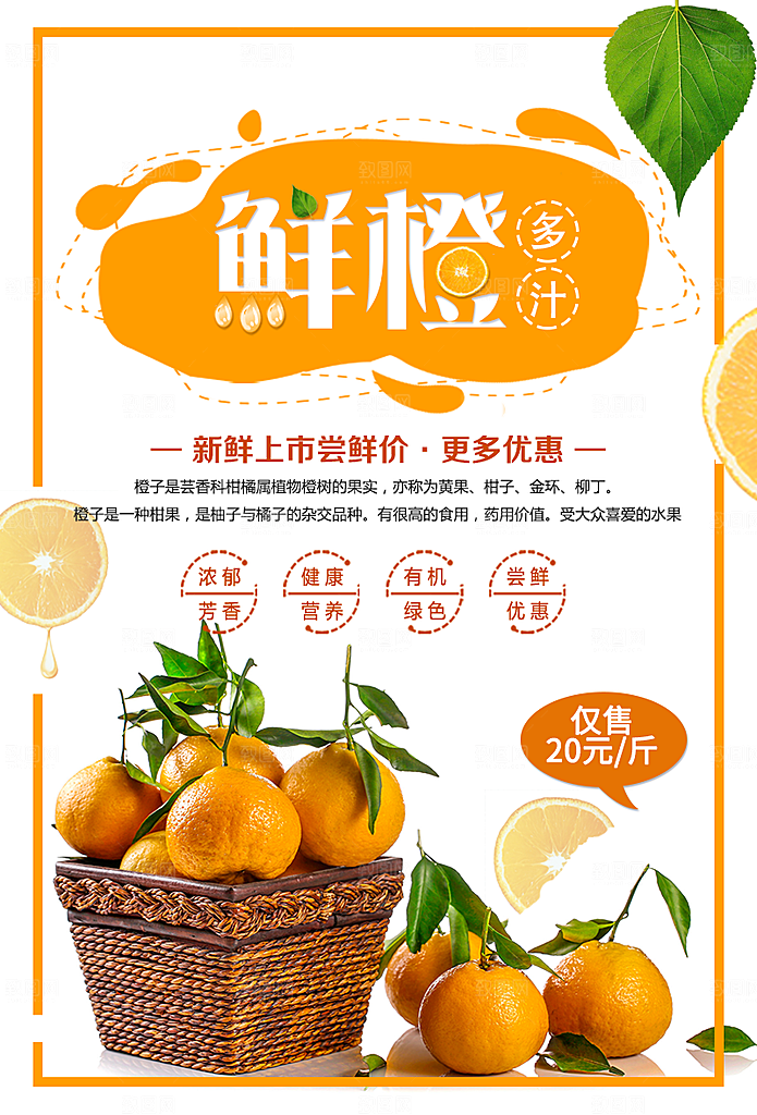 新鲜橙子多汁上市