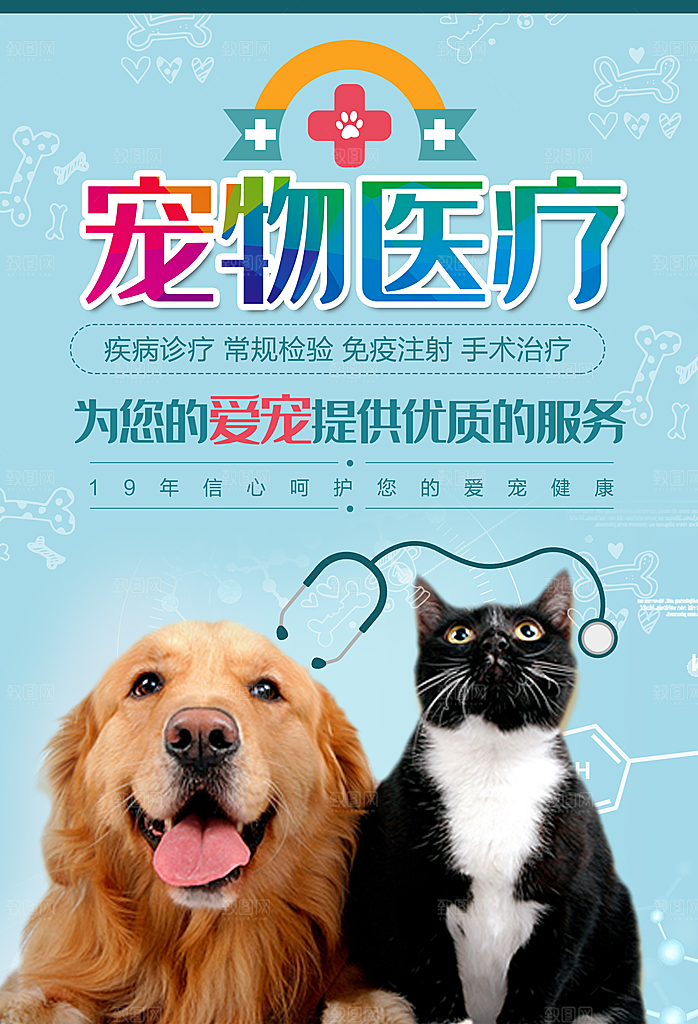 宠物店宠物医疗宣传