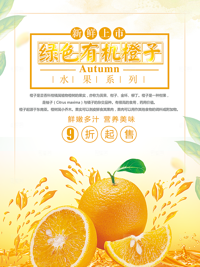 绿色有机橙子新鲜上市