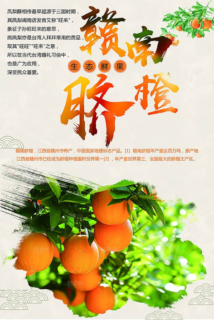 新鲜水果赣南脐橙