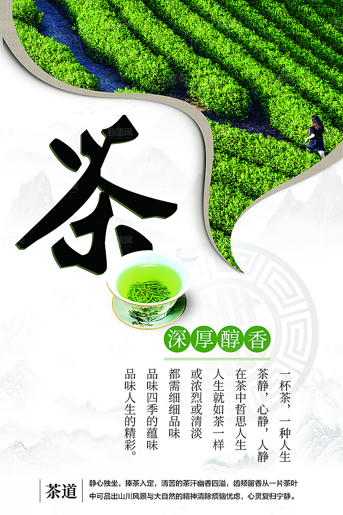 春茶上市茶道茶文化